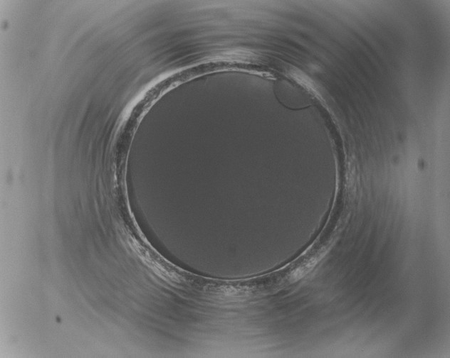 X0000055510923200509022054