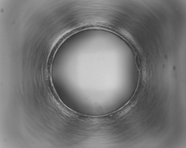 X0000055510924200509022054