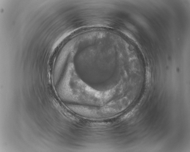 X0000055510925200509022054