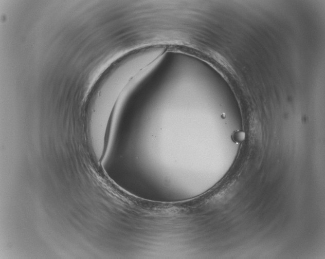 X0000055510926200509022054