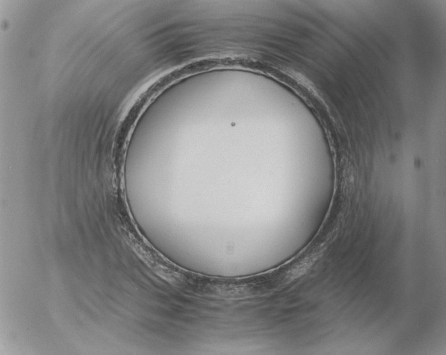 X0000055510927200509022054