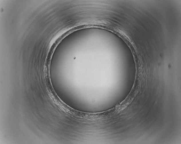 X0000055510928200509022054