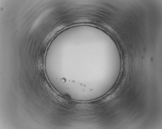 X0000055510929200509022054