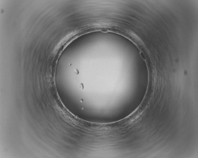 X0000055510930200509022054