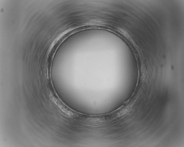 X0000055510931200509022054