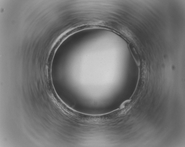 X0000055510932200509022054