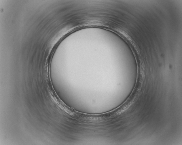 X0000055510933200509022054