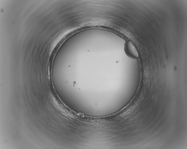 X0000055510934200509022054