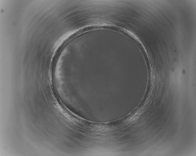 X0000055510935200509022054