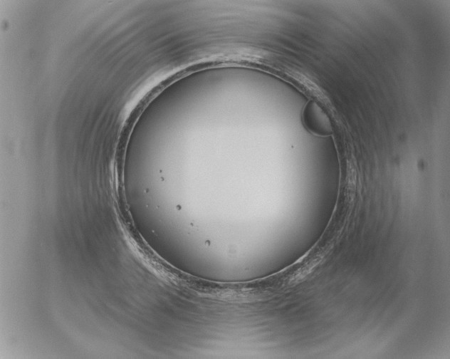 X0000055510936200509022054