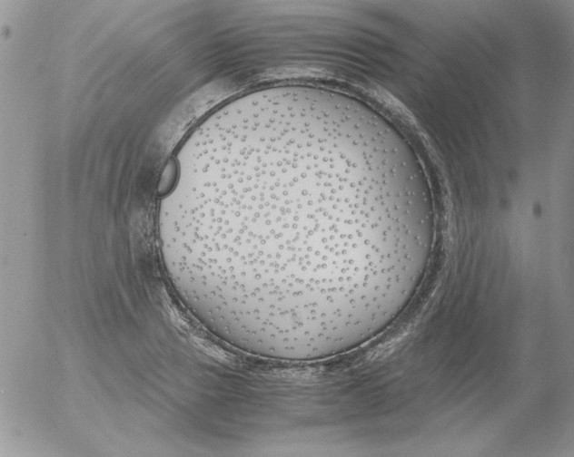 X0000055510937200509022054