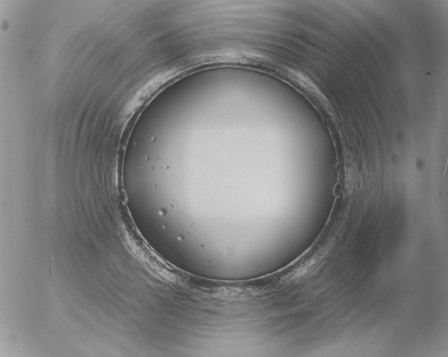 X0000055510938200509022054