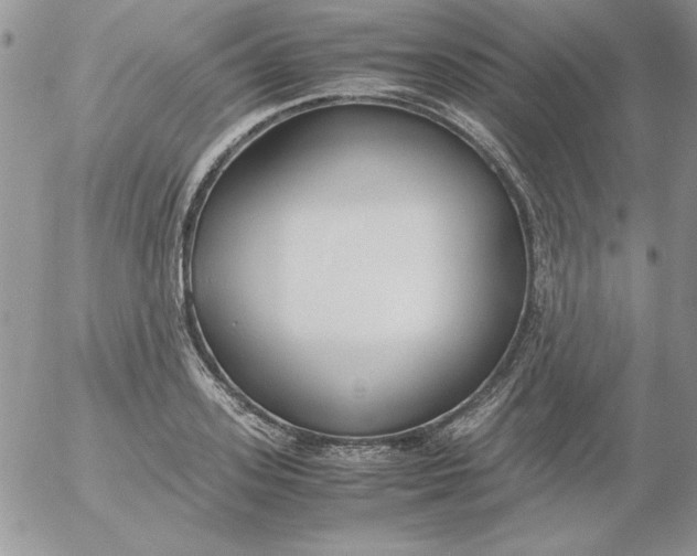 X0000055510939200509022054