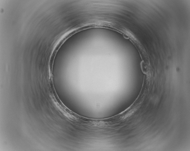 X0000055510940200509022054