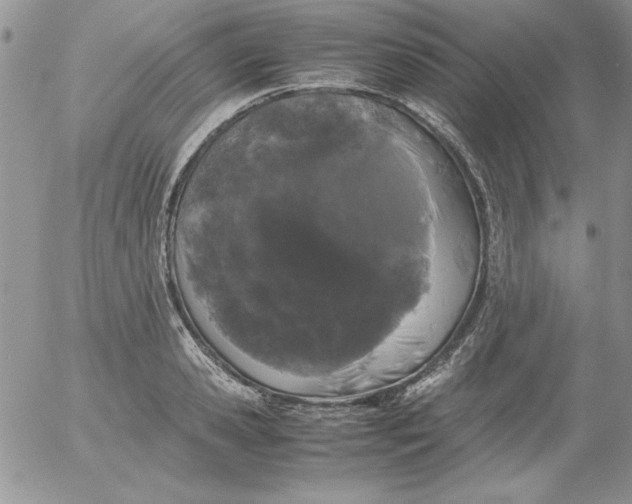 X0000055510941200509022054