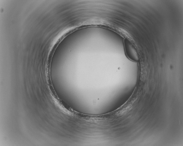 X0000055510942200509022054