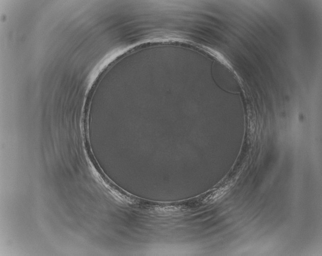 X0000055510943200509022054