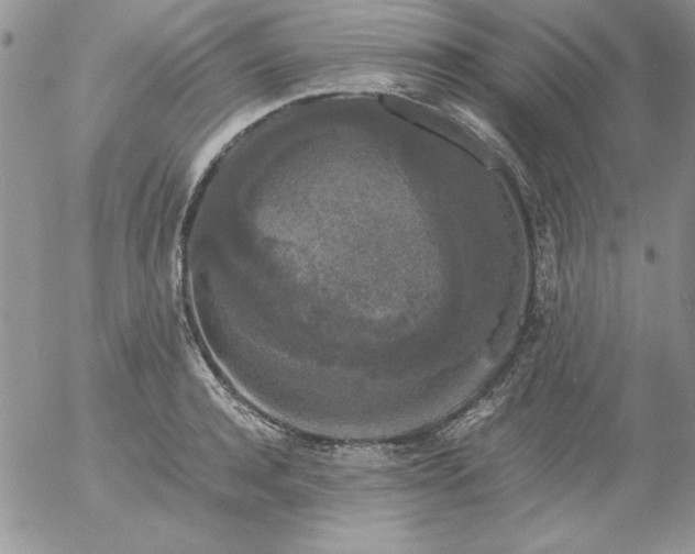 X0000055510944200509022054