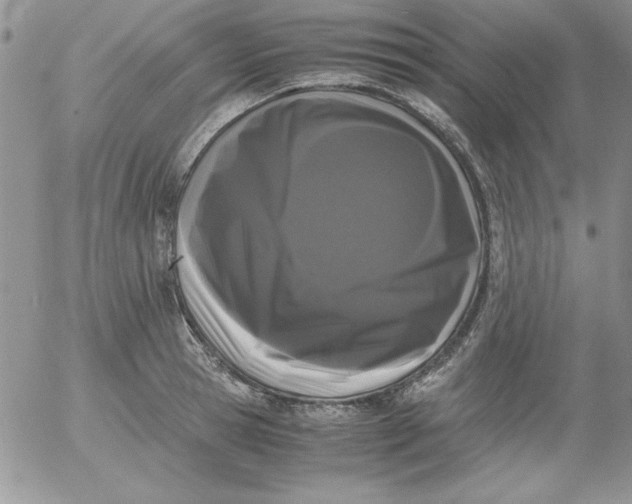 X0000055510945200509022054