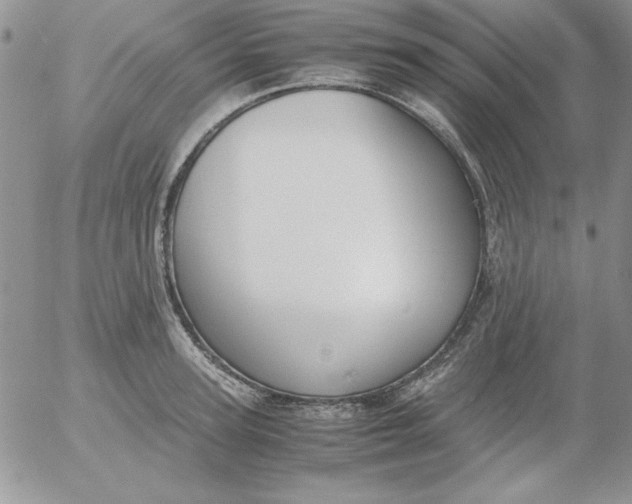 X0000055510947200509022054