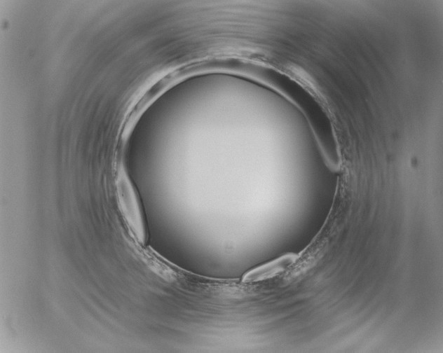 X0000055510948200509022054