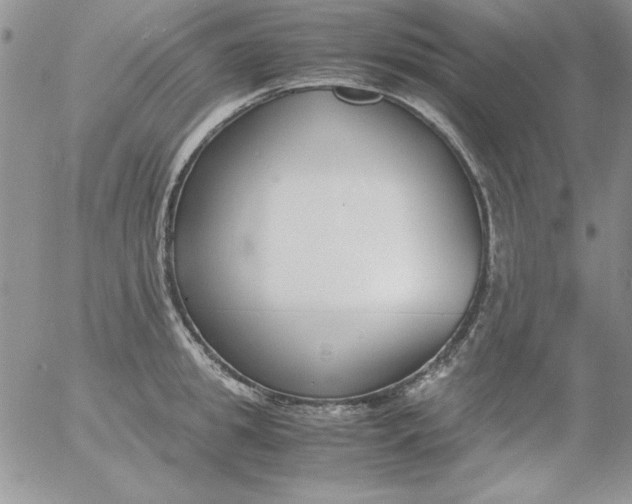 X0000055510949200509022054