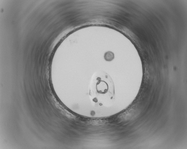 X0000055510950200509022054