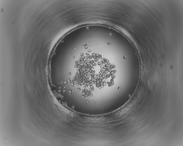 X0000055510951200509022054