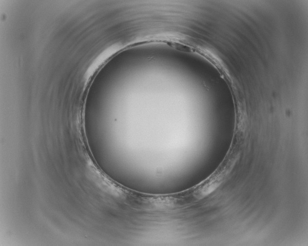 X0000055510952200509022054