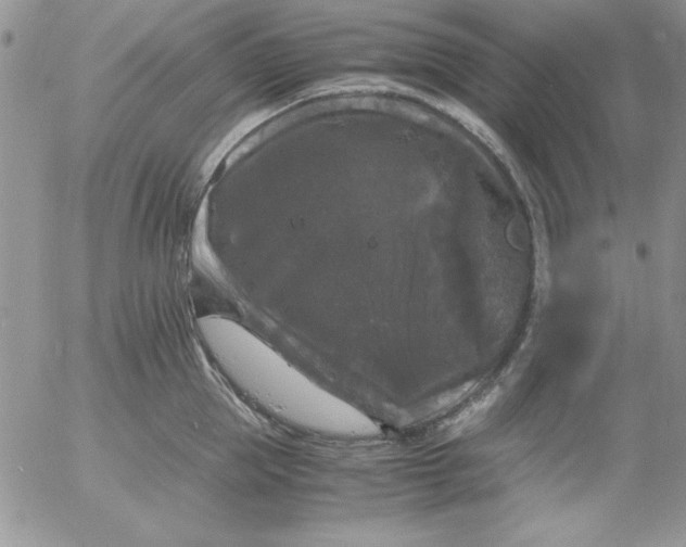 X0000055510953200509022054