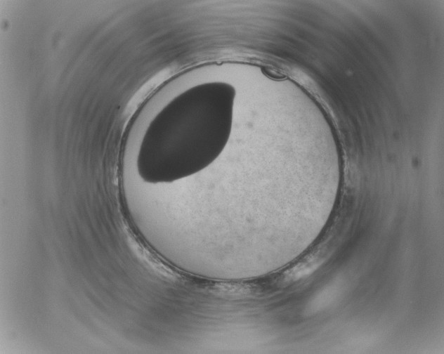 X0000055510954200509022054