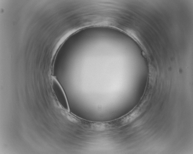 X0000055510956200509022054