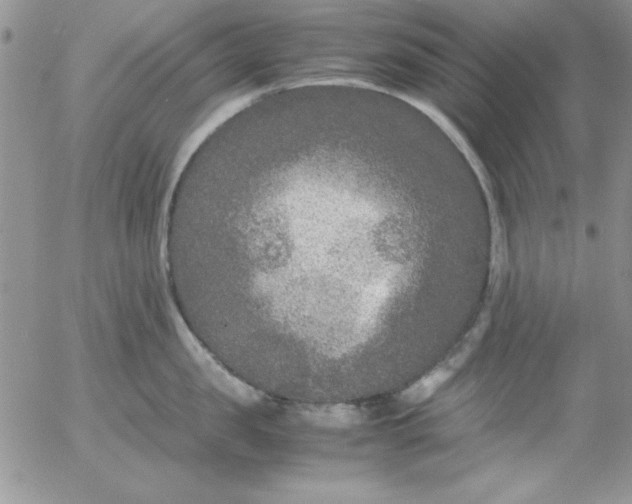 X0000055510957200509022054