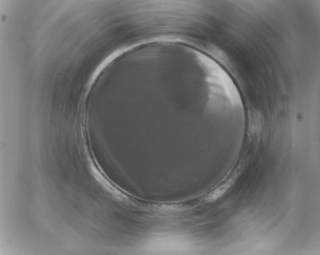 X0000055510958200509022054