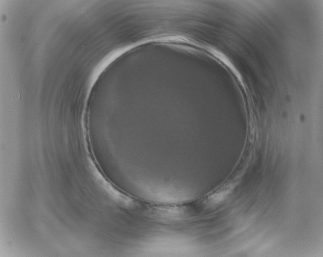 X0000055510959200509022054