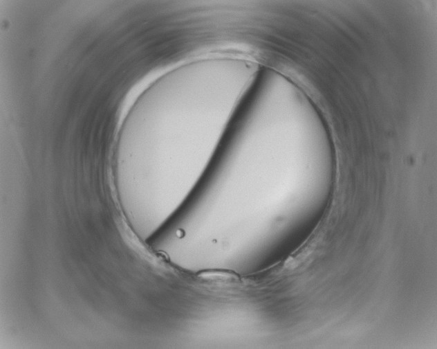 X0000055510960200509022054