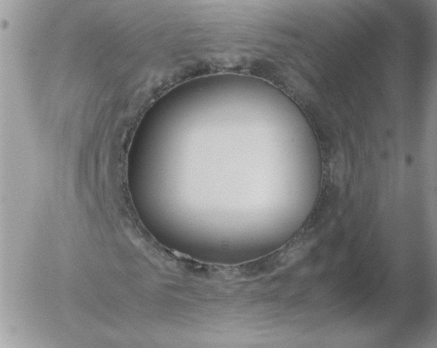 X0000055510961200509022054