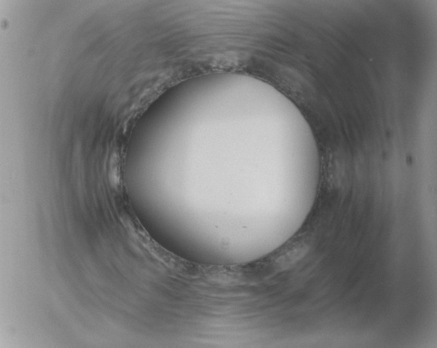 X0000055510962200509022053