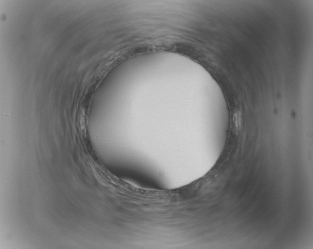 X0000055510963200509022053