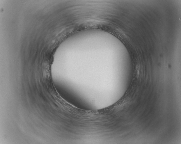 X0000055510964200509022053