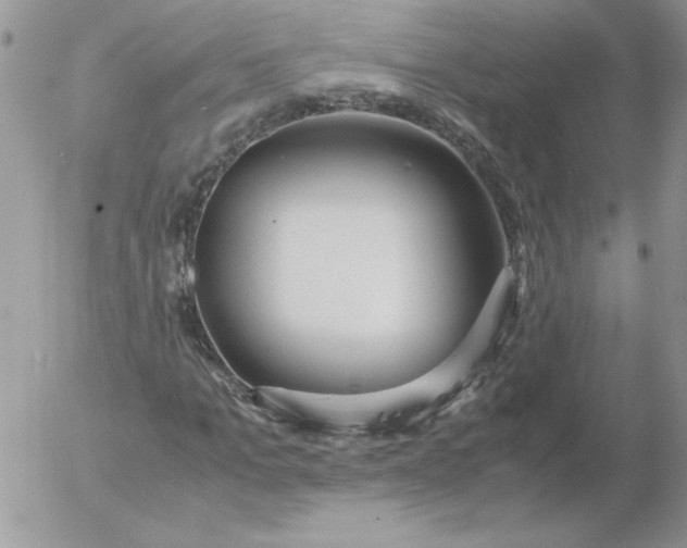 X0000055510965200509022053