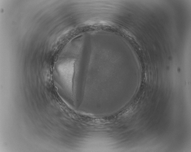 X0000055510966200509022053