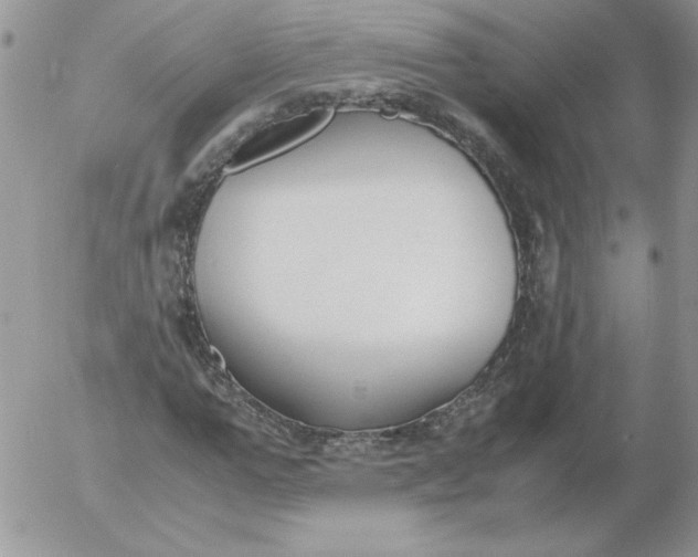 X0000055510967200509022053