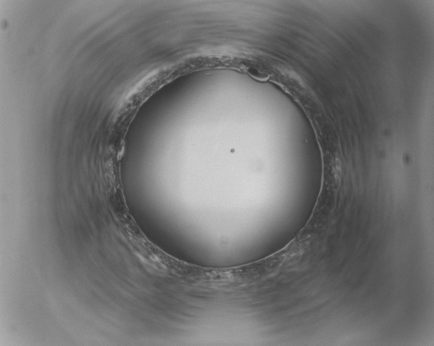 X0000055510968200509022053