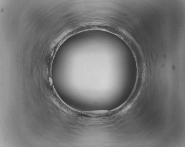 X0000055510969200509022053