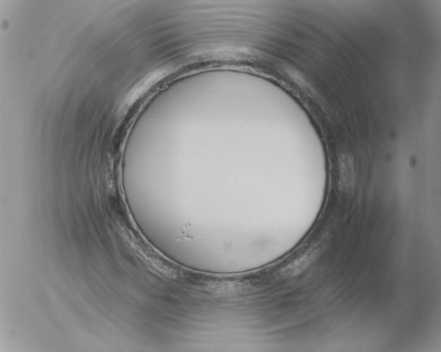 X0000055510970200509022053