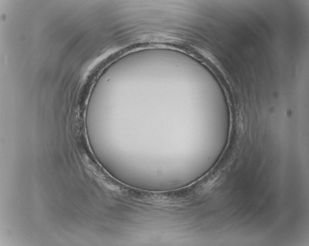 X0000055510971200509022053