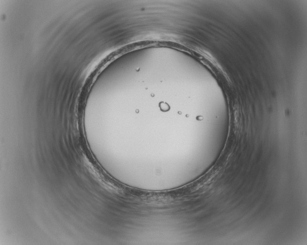 X0000055510972200509022053