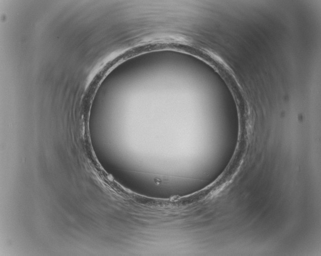 X0000055510973200509022053