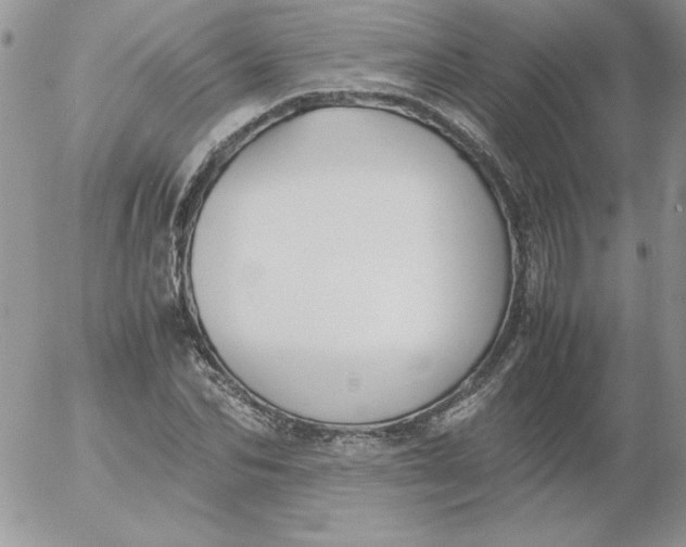 X0000055510974200509022053